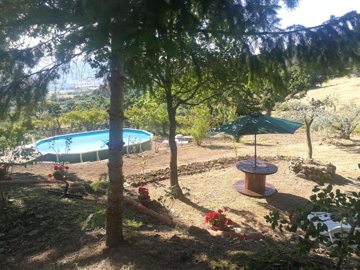 La Rosa Dei Venti Villa Monterotondo  ภายนอก รูปภาพ
